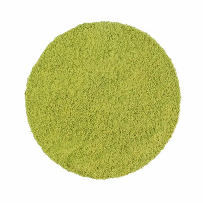 Japan Beginner's Matcha ORGANIC teapor